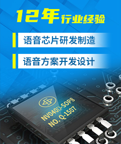 OTP語音芯片型號(hào)有哪些？為什么NVD系列更受“歡迎”？