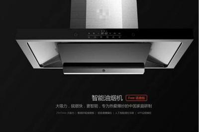 油煙機(jī)語音ic,廚具M(jìn)P3解碼芯片，家居語音儲(chǔ)存芯片，音樂芯片
