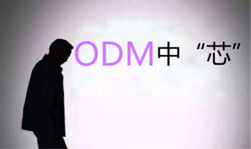 泱泱大中國為何做不了語音芯片？
