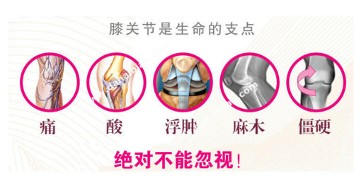 漆關(guān)節(jié)理療儀語音ic,風(fēng)濕理療儀語音播放芯片,語音播放芯片