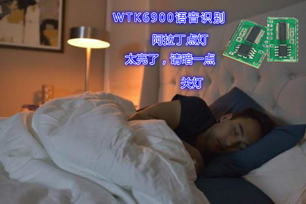 離線(xiàn)語(yǔ)音方案跟在線(xiàn)語(yǔ)音方案有什么不同的特點(diǎn)